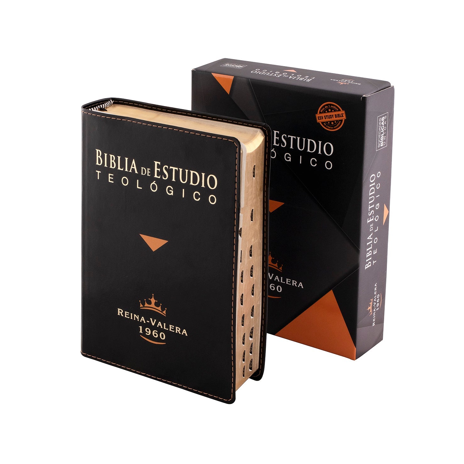Biblia de Estudio Teológico RVR1960 + Guía de uso GRATIS